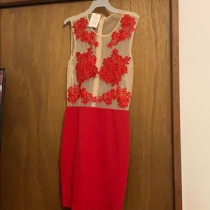 Valentines Day Red Lace Illusion Mini Dress
